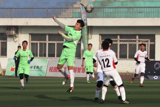 弗格29+11+10张镇麟20分 辽宁大胜福建